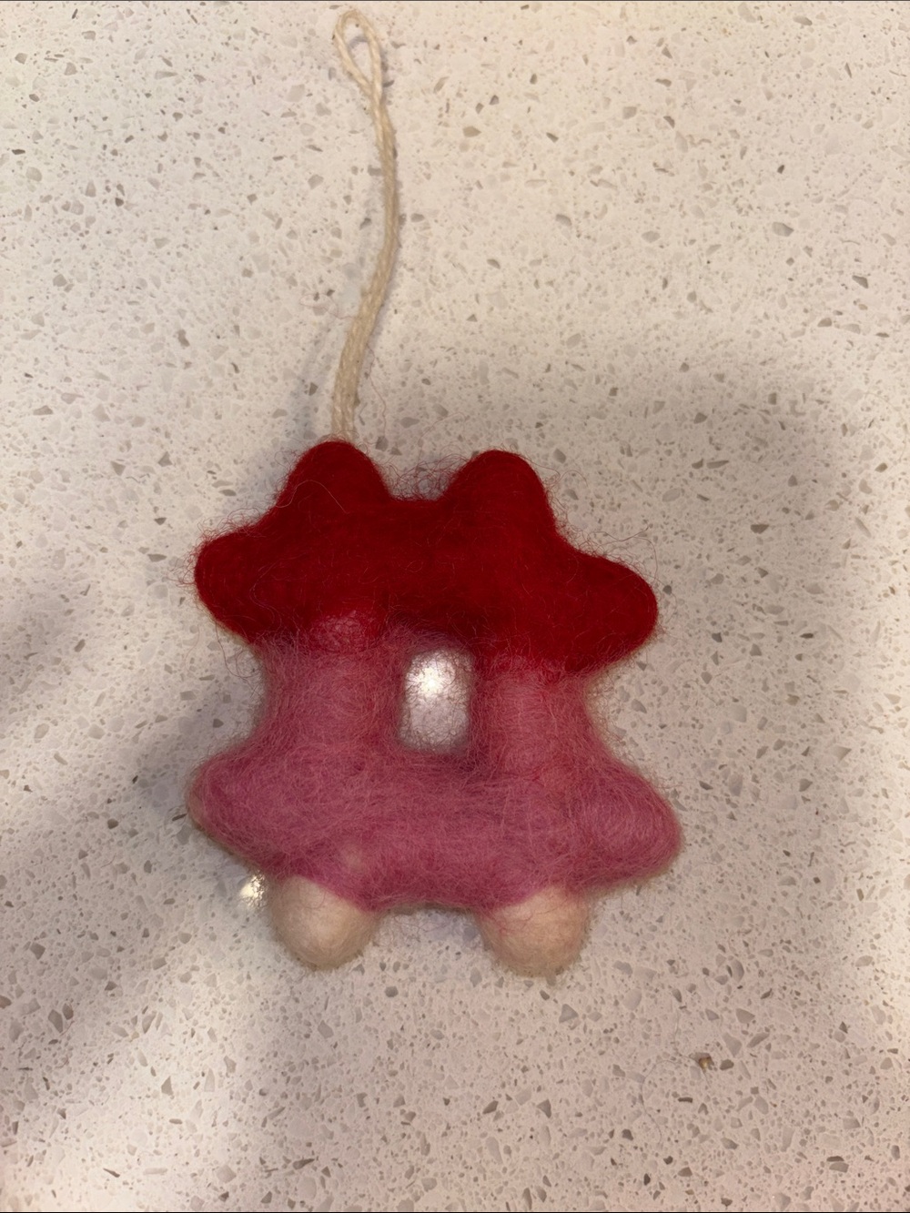 West Elm Red and Pink Felt Hanging Ornament